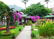 <span>Eden Bunagalow Resort</span> - Phuket