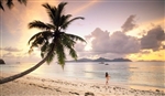 Seychelles - beach 