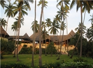 Ocean Paradise Resort 